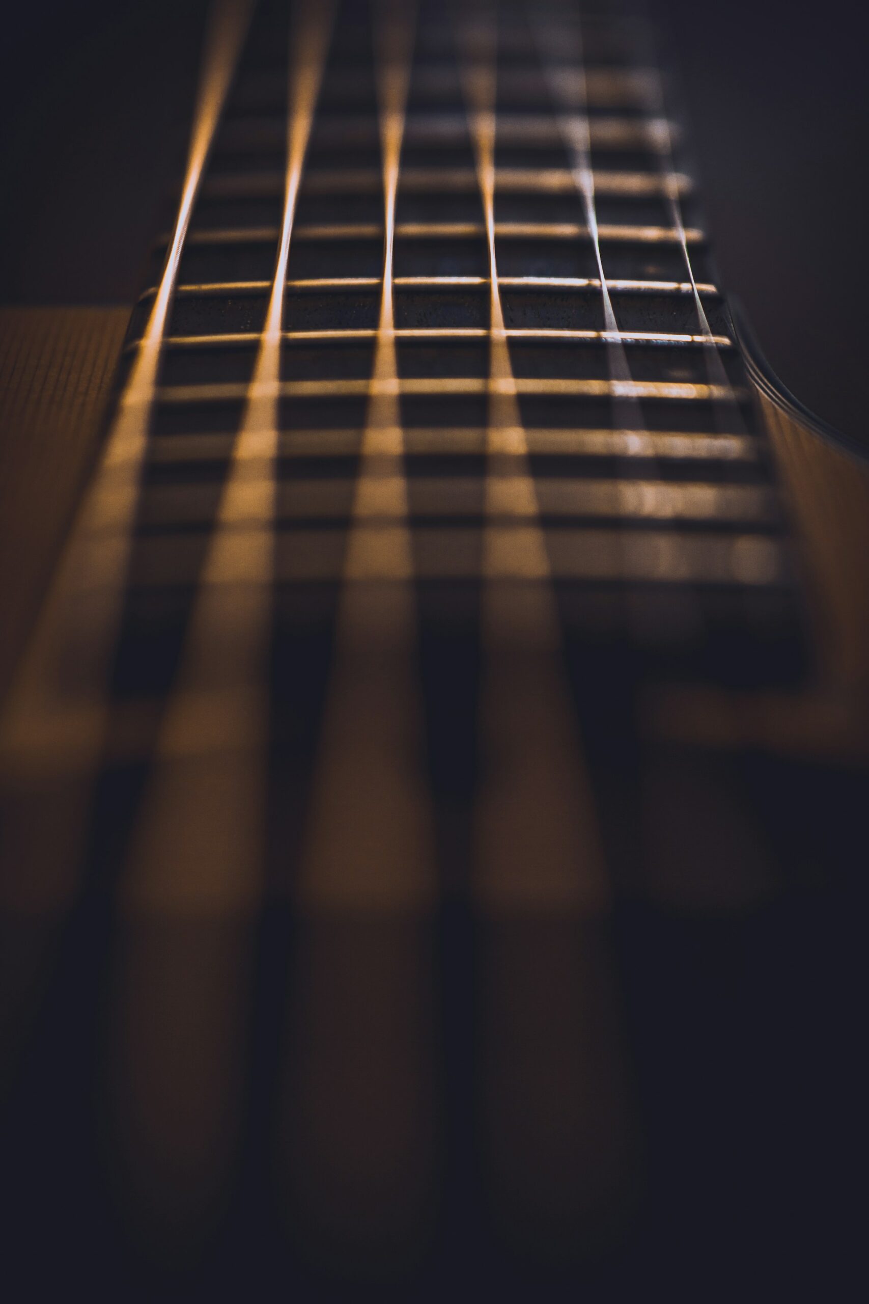 derek-story-1Pzhr6XPl6k-unsplash Guitar strings and frets from oblique angle.