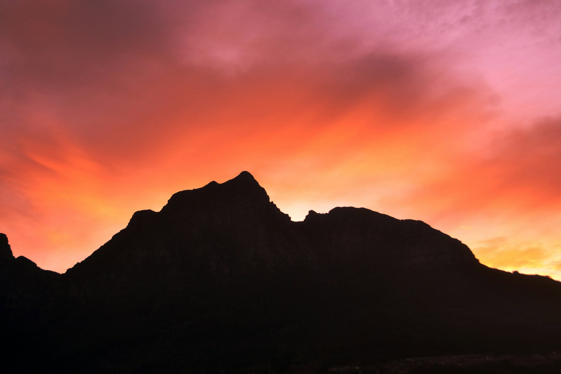 carolinie-cavalli-VywoBpOcNm8-unsplash